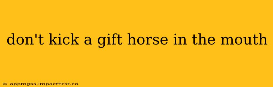 don't kick a gift horse in the mouth