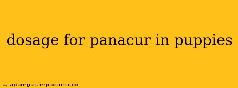 dosage for panacur in puppies