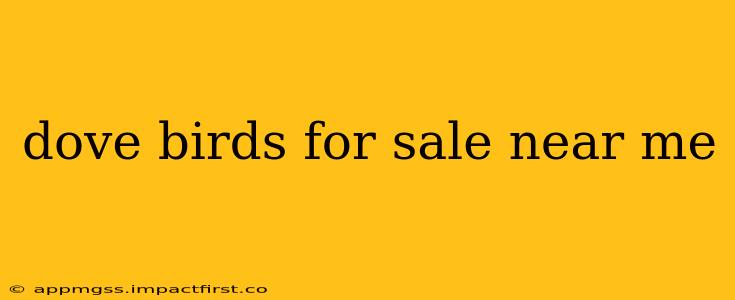 dove birds for sale near me