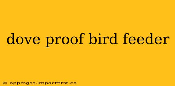 dove proof bird feeder