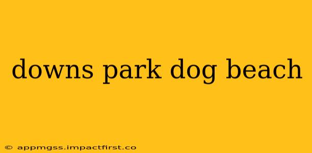 downs park dog beach