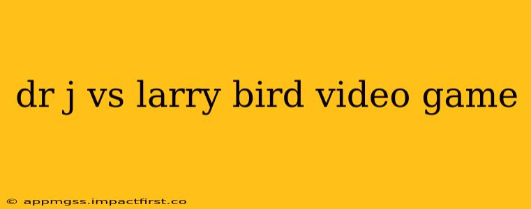 dr j vs larry bird video game