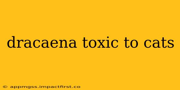 dracaena toxic to cats