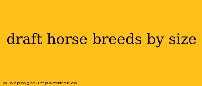 draft horse breeds by size