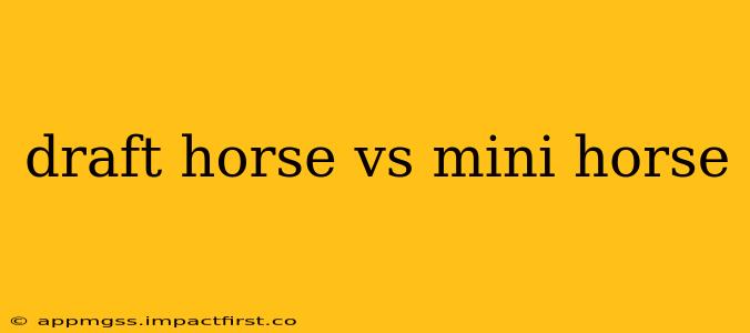 draft horse vs mini horse