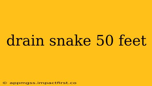 drain snake 50 feet