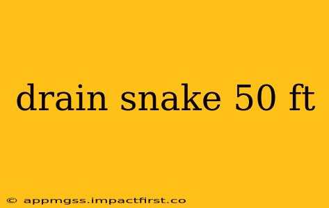 drain snake 50 ft
