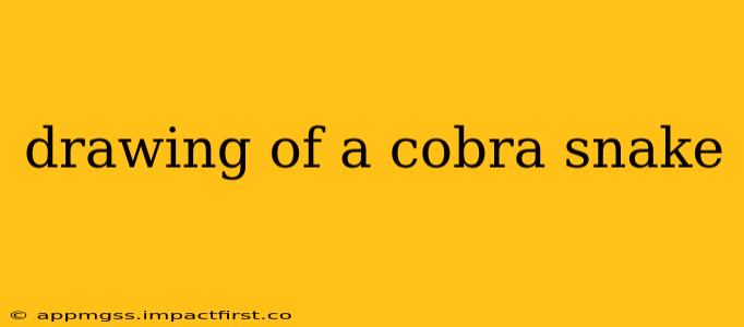 drawing of a cobra snake