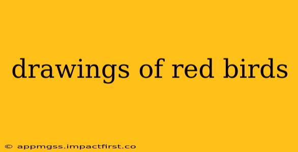 drawings of red birds
