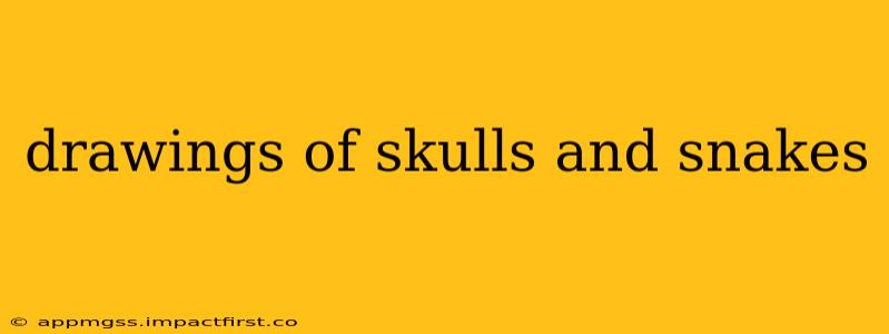 drawings of skulls and snakes