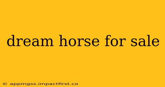 dream horse for sale