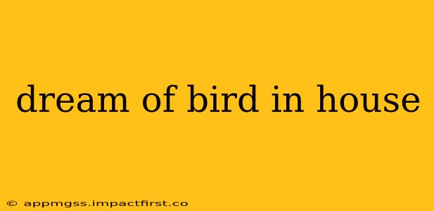 dream of bird in house