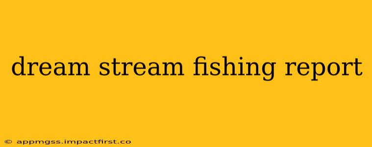 dream stream fishing report