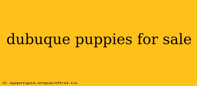 dubuque puppies for sale