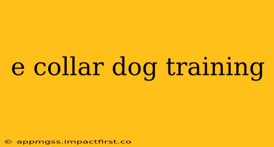 e collar dog training