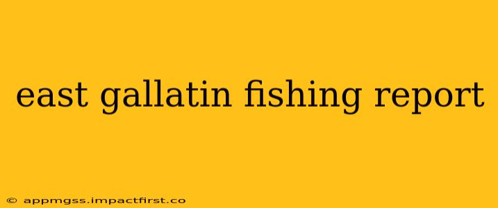 east gallatin fishing report