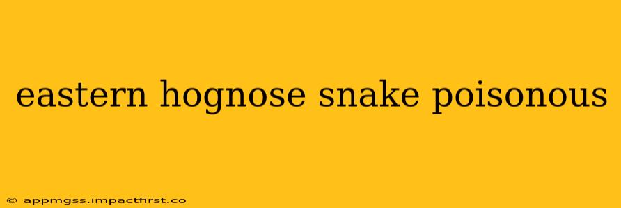 eastern hognose snake poisonous