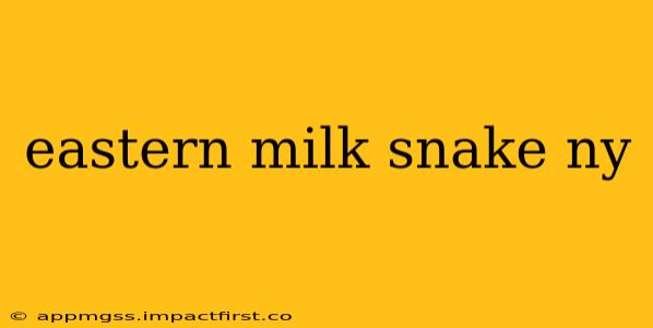 eastern milk snake ny