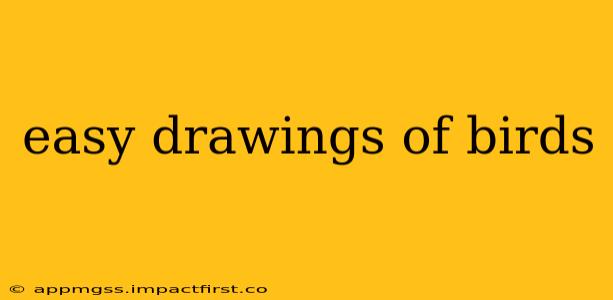 easy drawings of birds