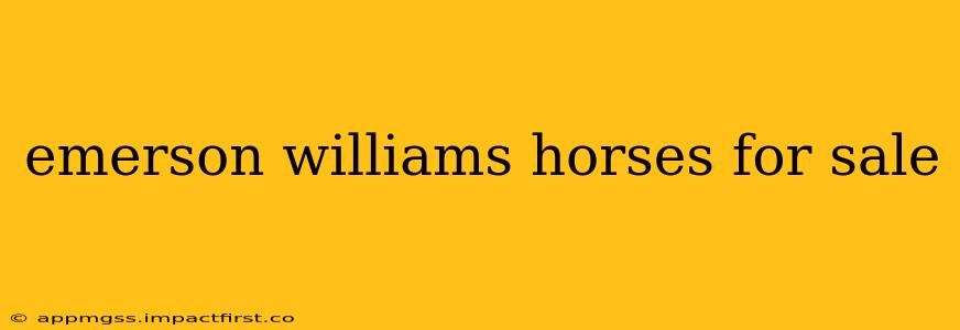 emerson williams horses for sale