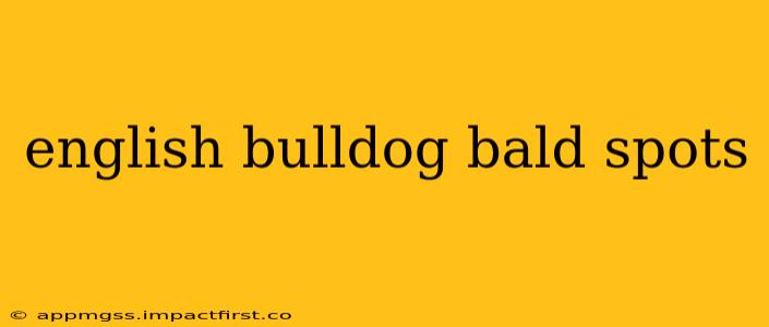 english bulldog bald spots