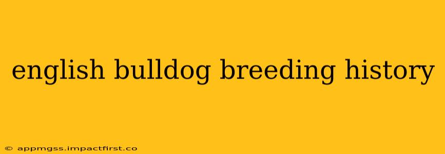english bulldog breeding history