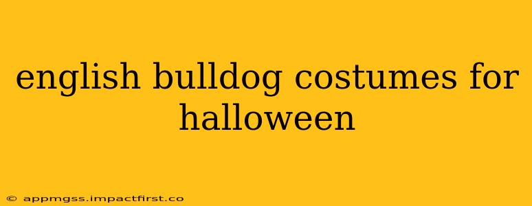 english bulldog costumes for halloween