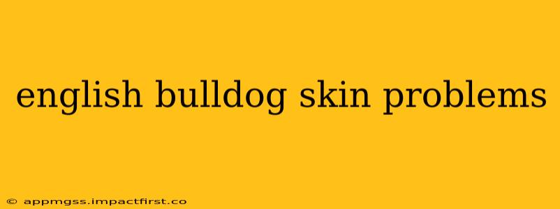 english bulldog skin problems