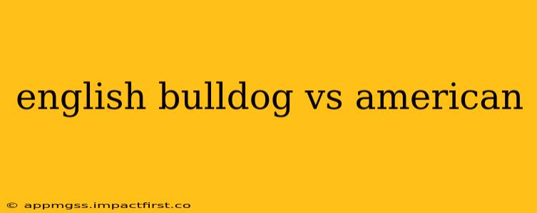 english bulldog vs american