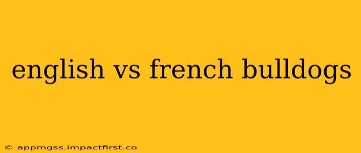 english vs french bulldogs