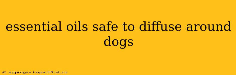 essential oils safe to diffuse around dogs