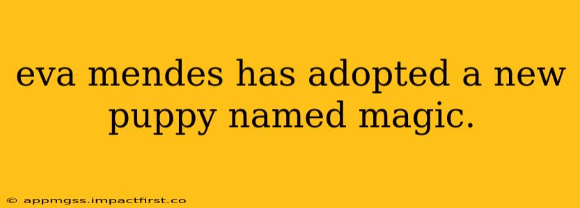 eva mendes has adopted a new puppy named magic.