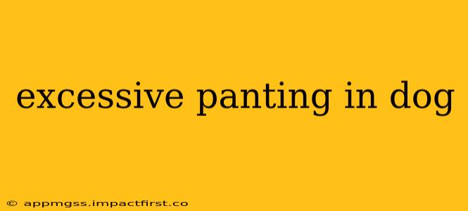 excessive panting in dog