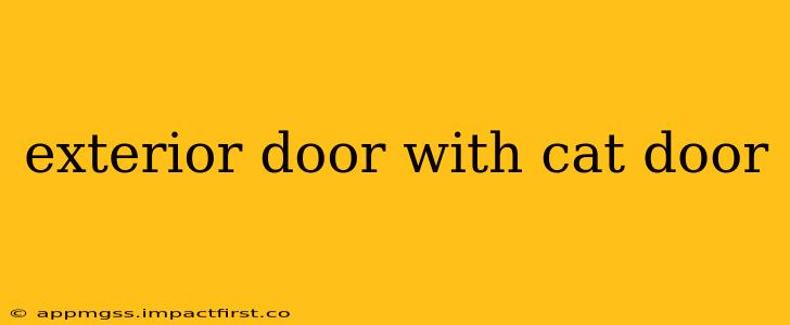 exterior door with cat door