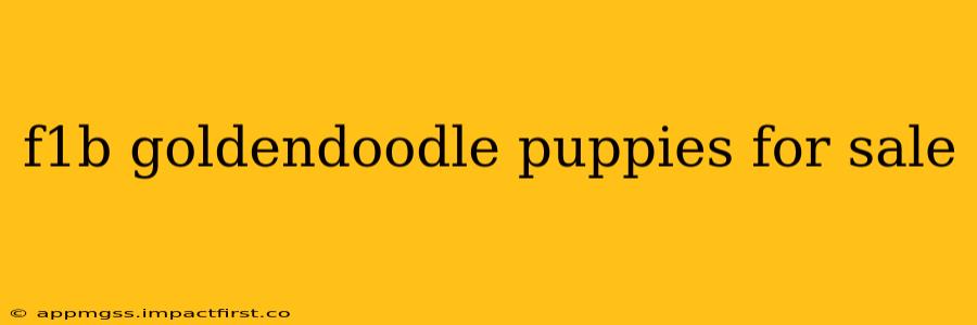 f1b goldendoodle puppies for sale
