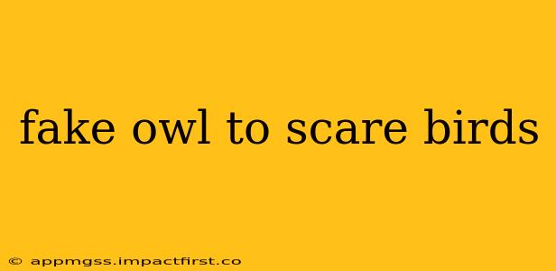 fake owl to scare birds