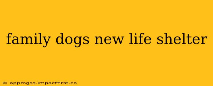family dogs new life shelter