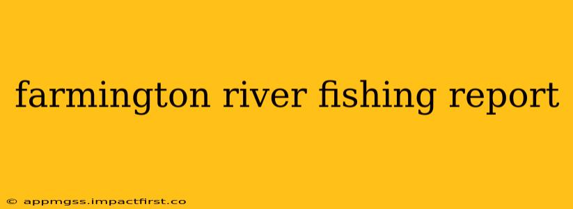 farmington river fishing report