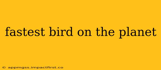 fastest bird on the planet