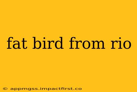 fat bird from rio