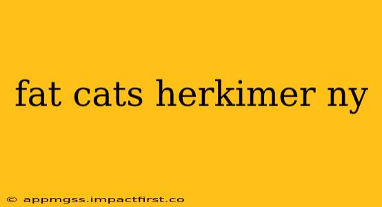 fat cats herkimer ny