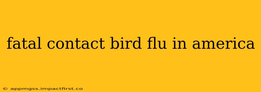 fatal contact bird flu in america