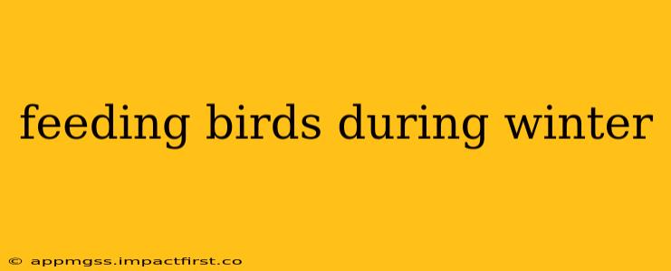 feeding birds during winter