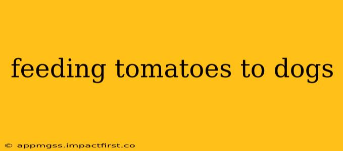 feeding tomatoes to dogs