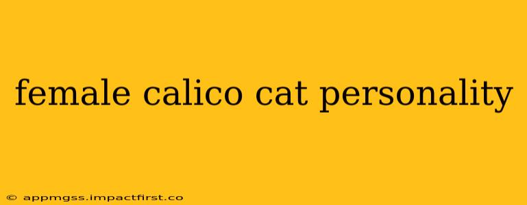 female calico cat personality