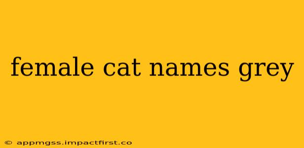 female cat names grey