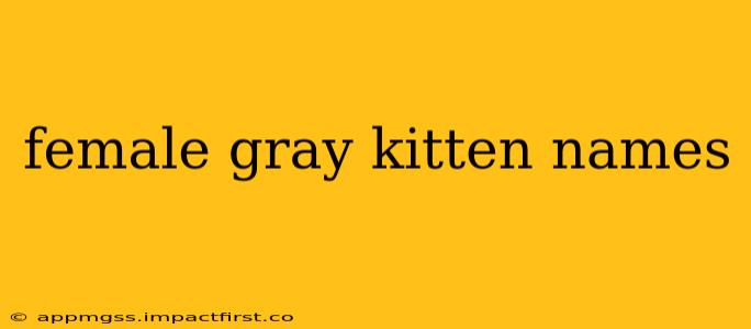 female gray kitten names