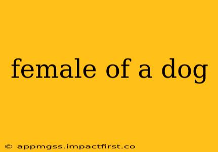 female of a dog