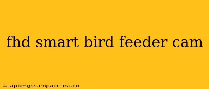 fhd smart bird feeder cam