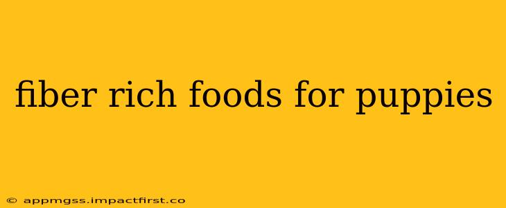 fiber rich foods for puppies
